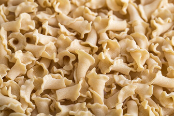 Uncooked bell-shaped Italian macaroni, rough frosted macaroni for cooking close-up
