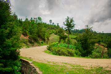 camino de tierra