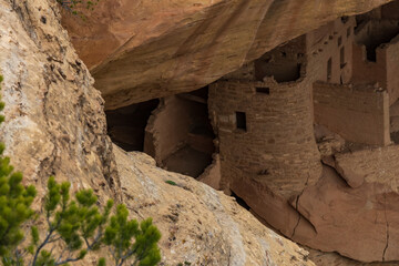 Cliff Palace, dwellings at Mesa Verde National Park