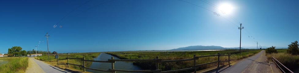 Delta del ebro CARRETER (LÉNCANYISSADA)