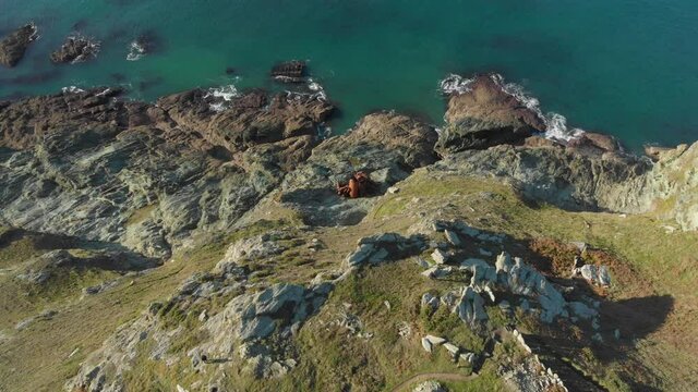 Remains of shipwreck on jagged rocks at Prawle Point,  South Devon coast