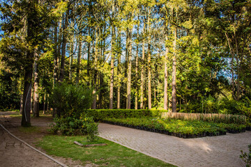 alley in the park