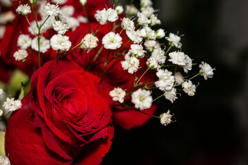 bouquet of red roses