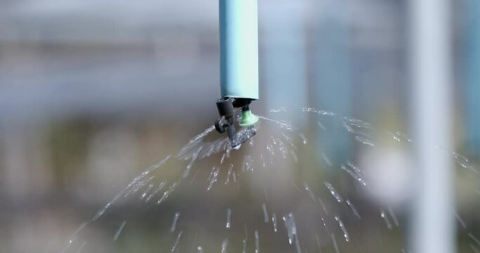 Close up of water splashing from sprinkler in the garden with slow motion shot. Gardening garden care concept. 
