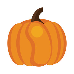 pumpkin autumn fruit seasonal icon