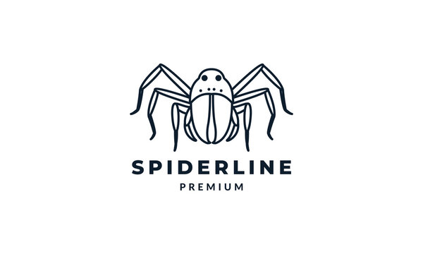 spider minimalist line art outline  logo vector icon illustration design