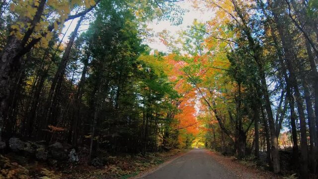 Driving on the country road through beautiful fall foliage in bright autumn forest trees. Fall season in Vermont, New England.
