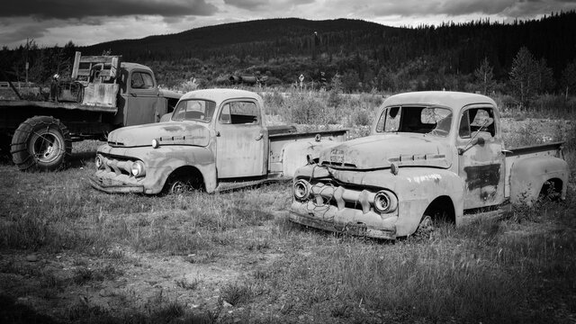 Old abandoned army trucks in an overgrown field. USA 1943 Eielson air force base. Historic and vintage military vehicles black and white background
