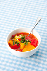 夏野菜のトマト煮込み