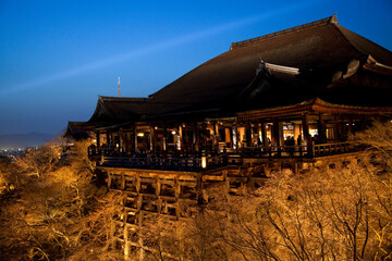 Obraz premium 清水の舞台夜景