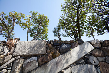 渉成園の高石垣