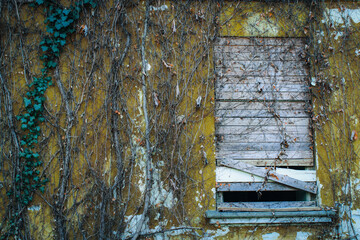 Boarded up window on a yellow abandoned building covered in ivy