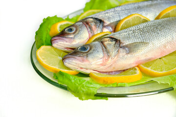 Two fresh fish in a glass dish on a vegetable base. Dicentrarchus labrax