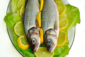 Two fresh fish in a glass dish on a vegetable base. Dicentrarchus labrax