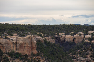 Fototapeta na wymiar Cliff dwellings at Mesa Verde National Park