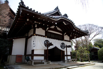 Fototapeta premium 養源院本堂