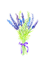 水彩で描いたラベンダーの花束のイラスト
