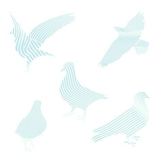 Vector set of abstract pigeon illustration