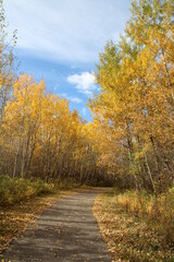 Going Down The Trail, Elk Island National Park, Alberta