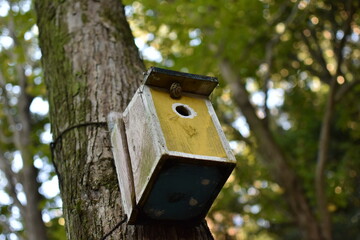森の中の鳥の巣箱