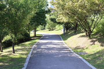 path in the park