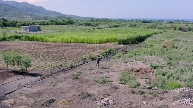 Man tills soil with spade. Aerial circling view