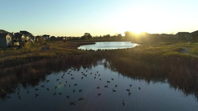Aerial dolly shot of pond behind neighborhood at sunrise.