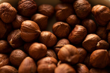 Close up of Hazelnut kernels