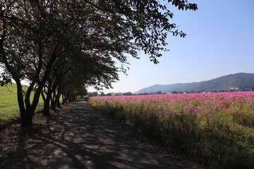 Fototapeta premium sunset in the mountains