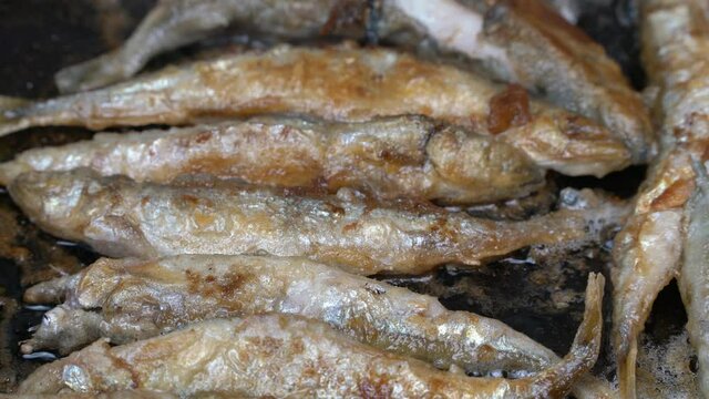 View of cooking frying capelin fish in iron pan. Grilled caplin fish - popular Japanese dish where entire small fish, from head to tail, bones and roe can be enjoyed as an appetizer or garnish.