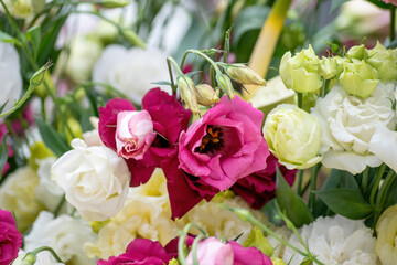 Eustoma flowers close-up blurred background