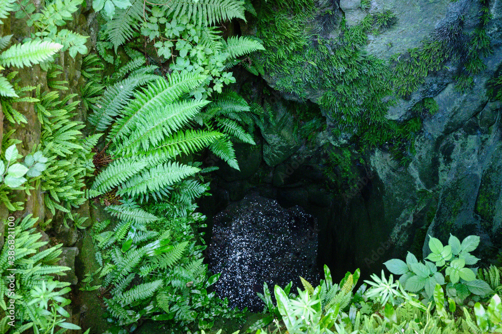 Poster castle well with ferns around and coins at the bottom.