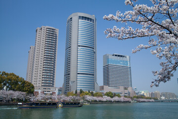 Fototapeta na wymiar 大川の桜とOAP