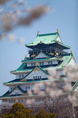 大阪城と桜