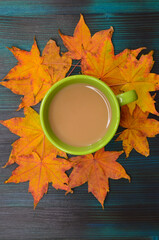 Autumn beverage in cold season concept. A cup of cocoa with autumn maple leaves