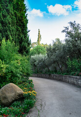 Beautiful View of landscape park with many rare and relict evergreens on the Black Sea coastline. Cypress trees, cedars and many flowering trees in the Aivazovsky park in Crimea. Partenit.
