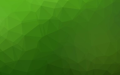 Fototapeta premium Light Green vector abstract polygonal texture.