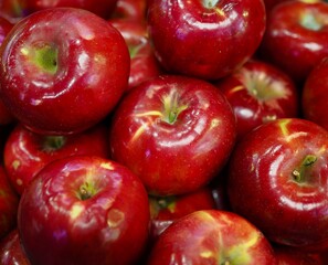 신선한 유기농 과일 빨간색 사과 
