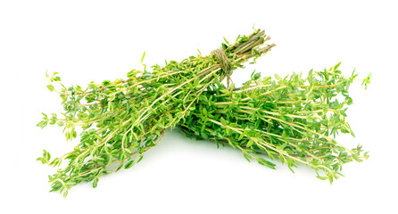 green thyme bunch an isolated on white background.clipping path