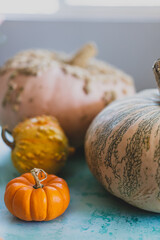 pumpkins and gourds on a table