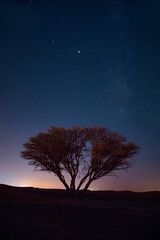 Fototapeta na wymiar Milky way shot from Sharjah Al Madam Ghost Village, Astro photography