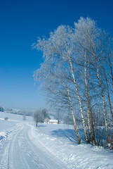 Obraz premium frozen landscape