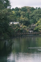 lake in the park by a temple