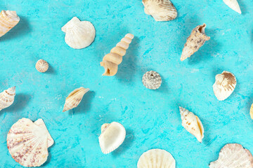 Flat lay ocean pattern with sea shells, overhead shot on a teal blue background