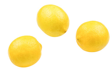 Lemon isolated on white background. Space for test or design.