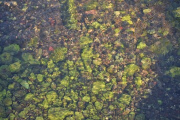 Texture of water and moss on stone