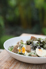 caesar salad appetizer on wooden background