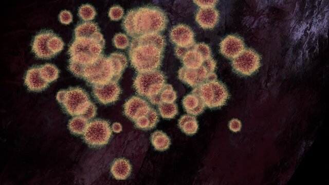 Microscopic virus cells in dark space, animation