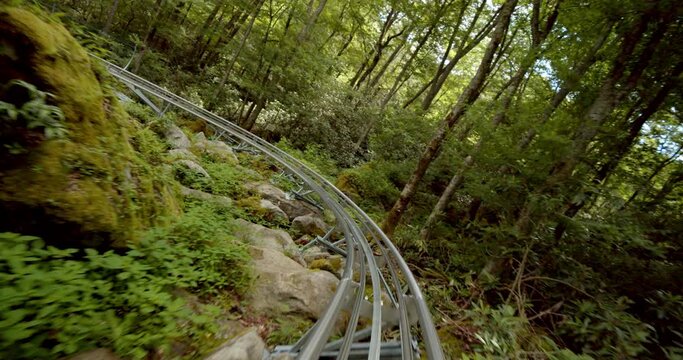 First Person POV Shot On Wilderness Alpine Roller Coaster