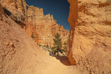  Bryce Canyon National Park.  Couple hiking and taking pictures of beautiful Wall of Windows, Peekaboo Loop trail.